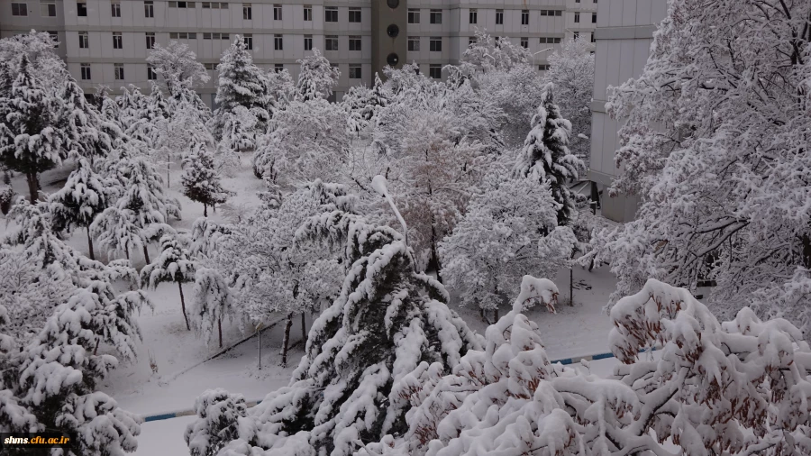 روز برفی دانشگاه فرهنگیان کردستان 4