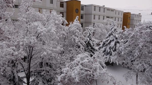 روز برفی دانشگاه فرهنگیان کردستان 7