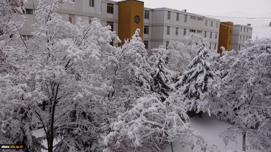 روز برفی دانشگاه فرهنگیان کردستان 7