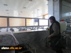 ضد عفونی مستمر فضاهای مختلف پردیس بنت الهدی صدر ادامه دارد 10