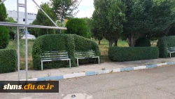 تقدیر از عوامل خدماتی سبز دانشگاه فرهنگیان کردستان 3