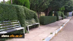 تقدیر از عوامل خدماتی سبز دانشگاه فرهنگیان کردستان 4