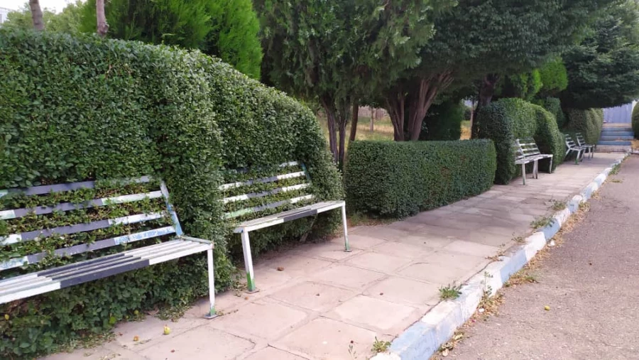 تقدیر از عوامل خدماتی سبز دانشگاه فرهنگیان کردستان 4