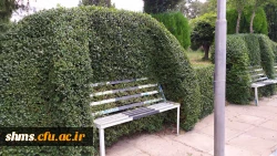 تقدیر از عوامل خدماتی سبز دانشگاه فرهنگیان کردستان 6