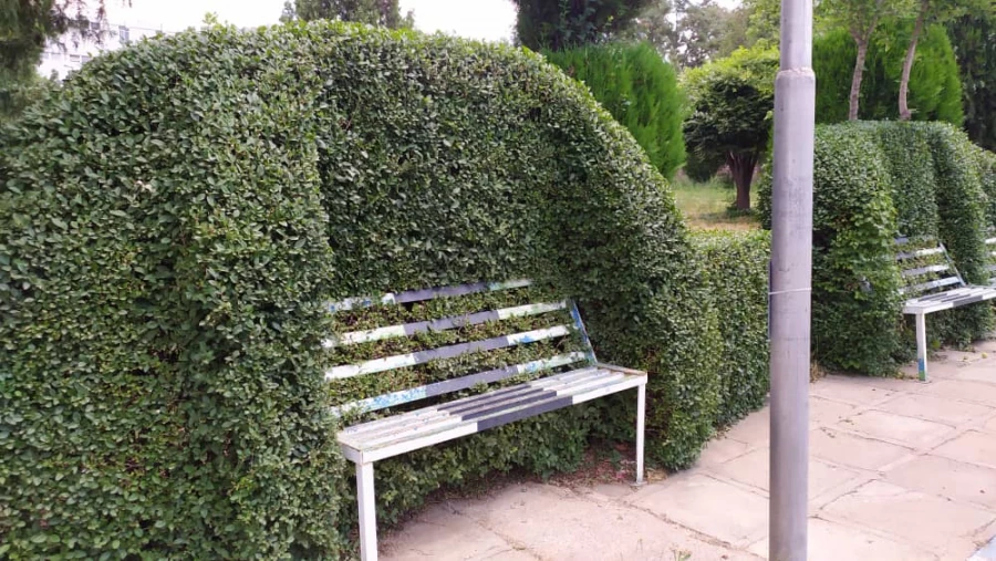 تقدیر از عوامل خدماتی سبز دانشگاه فرهنگیان کردستان 6